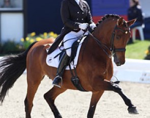 Dutch Thamar Zweistra on the powerful mare Zodinde (by Louisville x Rubiquil)