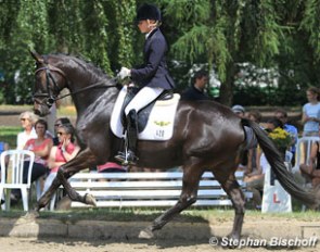 Mareike Peckholz and Zikade at the 2013 International Trakehner Championships :: Photo © Stephan Bischoff