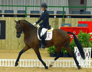 Charlotte Dujardin and Edison H at the 2013 Pavo Cup qualifier in Hartpury
