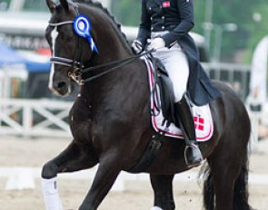 Lena Leschly Amand and Gorklintgaards Fanero win the 2013 Nordic Baltic Championships in Helsinki :: Photo © Satu Pirinen