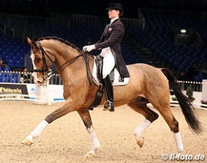 Carina Nevermann Torup and NOH's Wizard at the 2013 Danish Warmblood Stallion Licensing :: Photo © LL-foto.de