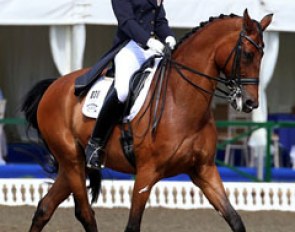 Lara Griffith on Laura Bechtolsheimer's former GP horse Andretti H