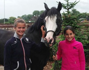 Luxembourg's Fabienne Claeys has sold her FEI pony Domino as a schoolmaster to Dutch/Italian Noa Prijs-Vitale, the younger sister of Italian Junior rider Chiara Prijs-Vitale