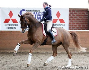 Isabell Werth schooling Bella Rose