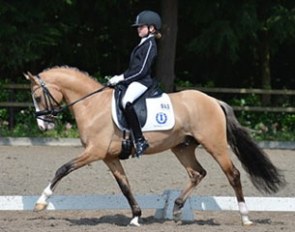 Anouk Strikkers and Don Ducky C-Two DVB at the 2013 Dutch Young Pony Championships in Kootwijk, The Netherlands :: Photo © Arlette Beukenkamp