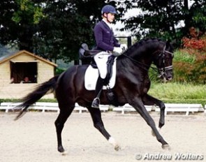 Matthias Rath and Bretton Woods at the 2013 CDN Krefeld at Gut Auric :: Photo © Andrea Wolters