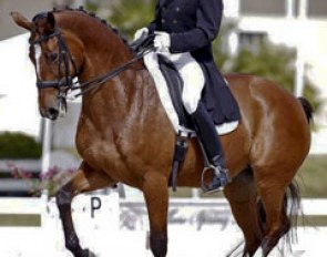Lars Petersen and Mariett at the 2013 CDI-W Loxahatchee :: Photo © Sue Stickle