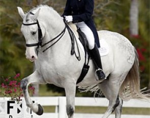 Janne Rumbough on her own Grand Prix horse Junior (by Gaucho III) :: Photo © Sue Stickle
