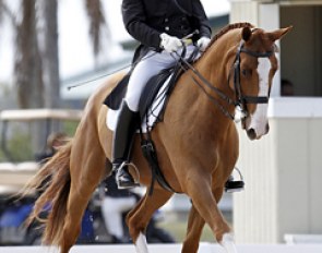 Delight (by De Niro x White Magic) :: Photo © Sue Stickle