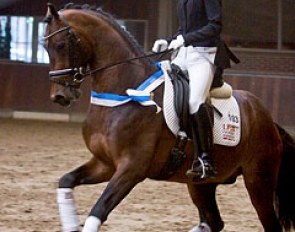 Atomic (by Ampere x Tolando) wins the 2013 VSN Trophy Finals :: Photo © Sjoert Pegge