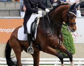 Timmerman and Utah struggled in the test with the piaffe/passage