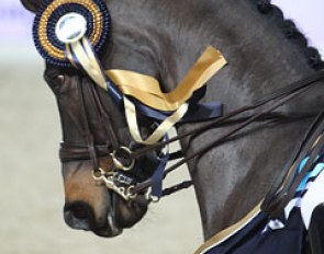 Deja with a Mechelen show ribbon