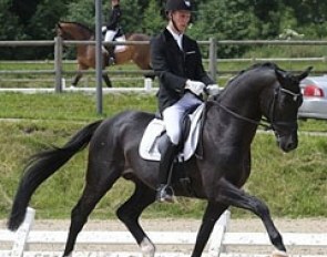 Daniel Bachmann Andersen on the 6-year old Mollegardens Pas Partout at the selection trial in Middelfart :: Photo © Ridehesten.com