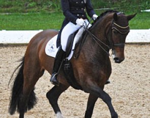 Dorothee Schneider on Forward Looking