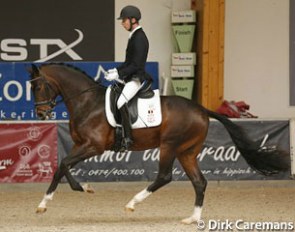 Niels Bax presenting San Amour II (by Sandro Hit x Plaisir d'Amour) :: Photo © Dirk Caremans