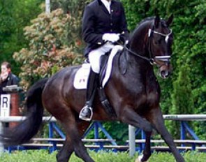 Heiner Schiergen on Saminyak