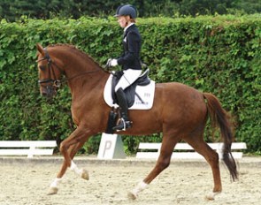 Helen Langehanenberg and Damon's Satelite at the 2013 Oer-Erkenschwick Bundeschampionate qualifier 