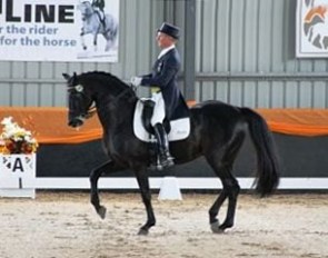 Heath Ryan and Regardez Moi at the 2013 CDI Orange