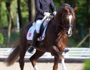 Claire Louise Averkorn on Licosto