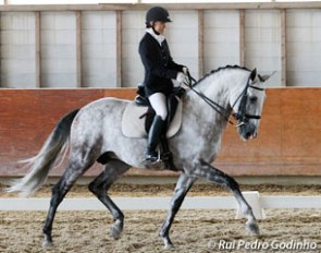 Sarah Warne and Batialo are invited to participate in The Dressage Convention 2013 :: Photo © Rui Pedro Godinho