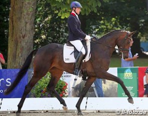 Andreas Muller on Biscaya (by Bordeaux x Quattro B) at the 2013 Oldenburg Regional Championships :: Photo © LL-foto.de