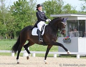 Cathrine Dufour and Orthilia at the 2013 Danish Young Riders Championships :: Photo © Ridehesten