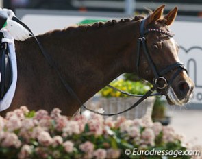 Modderbeek's Flo