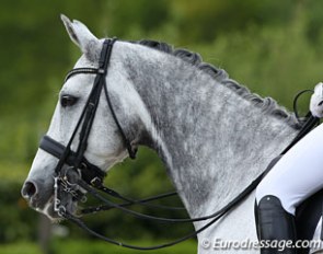 Theodoor (by Metall x Purioso)