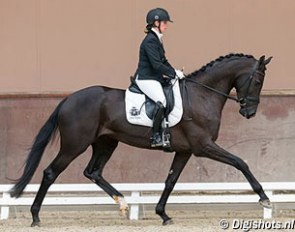Yvonne Copal and Fuzette at the 2013 KWPN Young Dressage Talents competition :: Photo © Leanjo de Koster