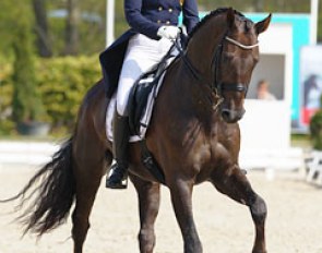 Eline de Coninck Borrey on Don Warohn