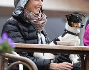 Spectators at the 2013 CDI Roosendaal