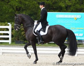 Edward Gal and Voice on their Grand Prix debut at the 2013 CDI Roosendaal :: Photo © Astrid Appels