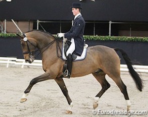 Australian William Matthew on D'Artagnan