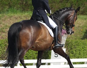 Rosalie Mol on Legend