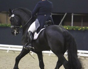 Melanie Mouthaan on the Friesian Wilke C van de Wijdewormer (by Fabe x Tjimmie)