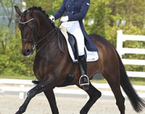 Jeanine Nekeman on Vlingh