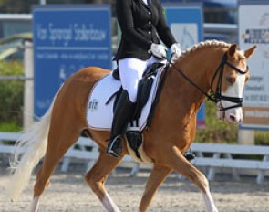 Anna Schnurbusch on Tesio