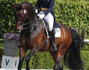Anouk Theeuwen on Whycocomagh