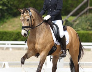 Veronique van der Panne on Rhyfedd Spike