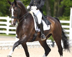 Dinja van Liere on Hexagon's Roumanda at the 2013 CDI Roosendaal :: Photo © Astrid Appels