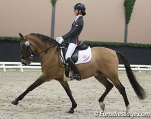 Daphne van Peperstraten on Don Camillo du Bois at the 2013 CDI Roosendaal Indoor :: Photo © Astrid Appels