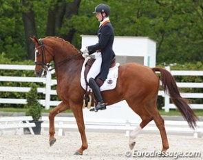 Diederik van Silfhout on Vorst D at the 2013 CDI Roosendaal :: Photo © Astrid Appels