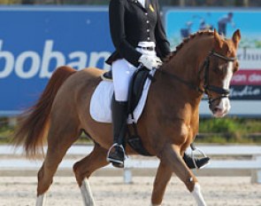 Elena Versyp on Surprice