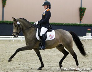 Lisanne Zoutendijk and Champ of Class at the 2013 CDI-P Roosendaal Indoor :: Photo © Astrid Appels