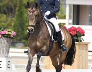 Lisanne Zoutendijk and Champ of Class :: Photo © Astrid Appels