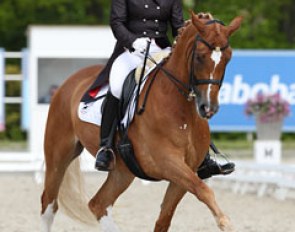 Thamar Zweistra and Whoopy at the 2013 CDI Roosendaal :: Photo © Astrid Appels