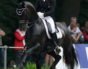 Edward Gal and Voice in the CDI Grand Prix Special at the 2013 CDIO Rotterdam :: Photo © Astrid Appels