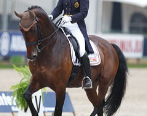 Delphine Meiresonne on Wipsy van 't Heihof