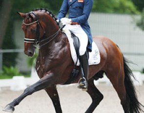 Hans Peter Minderhoud and Ziesto at the 2013 CDI Rotterdam :: Photo © Astrid Appels