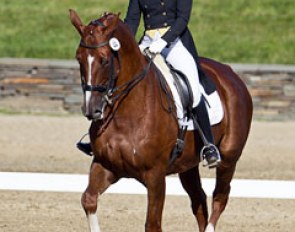 Micaela Mabragana and Granada at the 2013 CDI-W Saugerties :: Photo © Terri Miller